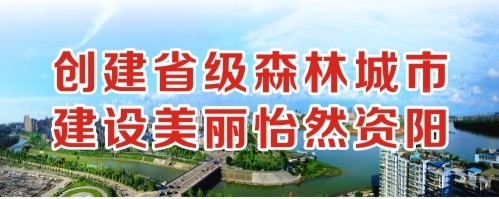 操我干我好爽啊啊啊做a污视频创建省级森林城市 建设美丽怡然资阳